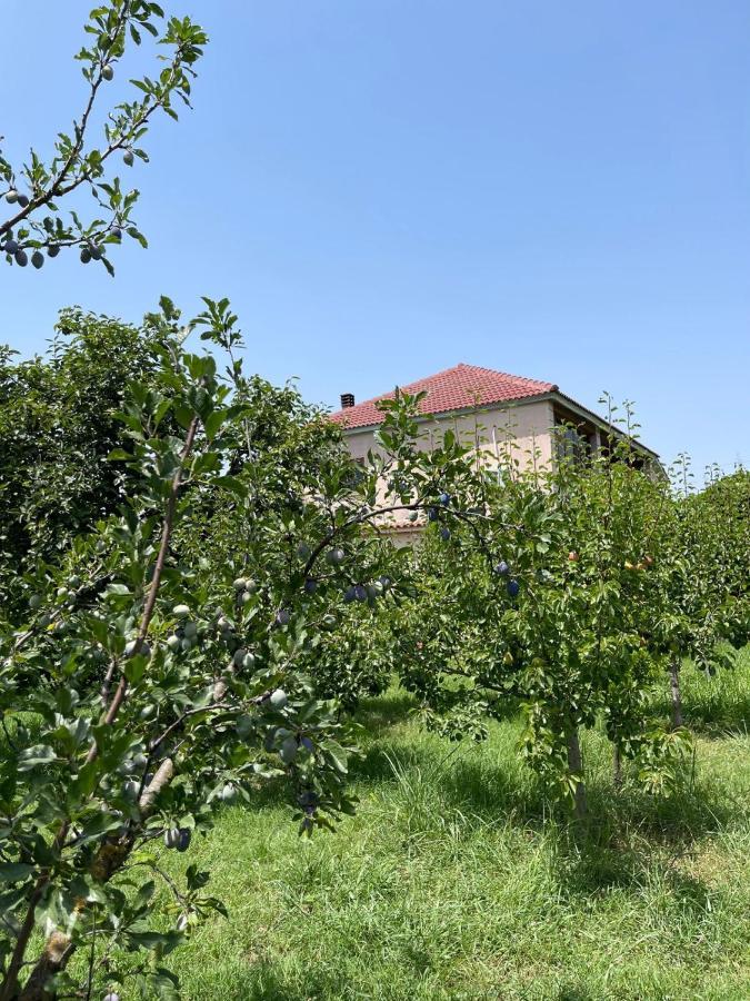 Villa Mance Berat Exteriör bild
